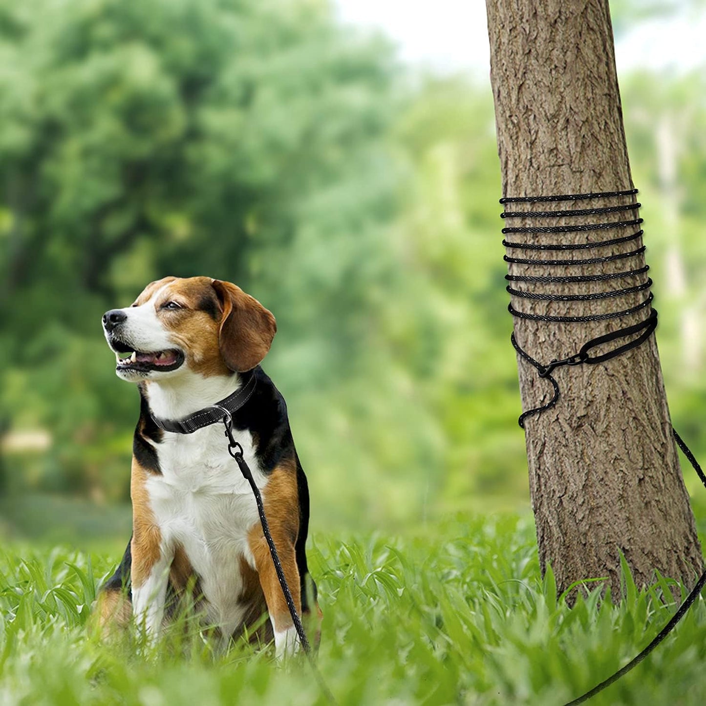 Long Dog Training Leash, 30 FT Tie Out Rope Check Cord with Padded Handle, Reflective Recall Lead for Puppy and Small Dogs, Black